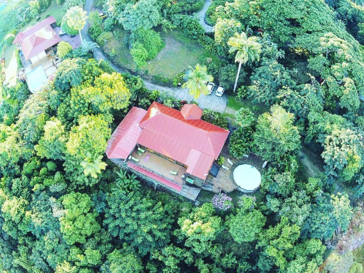 Villa Du Jardin Botanique, Ex. Propriete Coluche Deshaies Kültér fotó