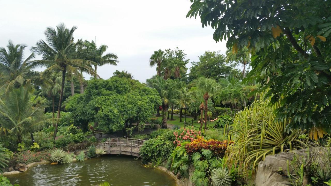 Villa Du Jardin Botanique, Ex. Propriete Coluche Deshaies Kültér fotó